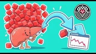 Insulin Explained: How This Hormone Controls Blood Sugar, Energy, and Diabetes