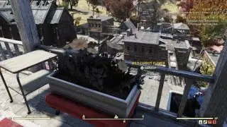 Fallout 76 - It Just Works (Can't Harvest Wild Carrot Flower)