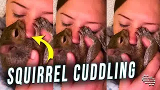 Squirrel Cuddling and Getting Cozy on Lady&rsquo;s Face