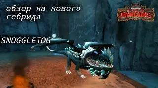 обзор на нового гибрида Frostmare   School of Dragon (SoD) SNOGGLETOG