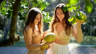 Tropical Homestead Harvests: Growing Juicy Fruit and Cooking from the Farm
