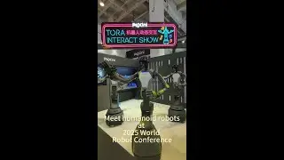 Humanoid robots wow audiences at World Robot Conference in Beijing