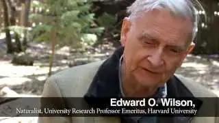 E.O. Wilson: Introduction