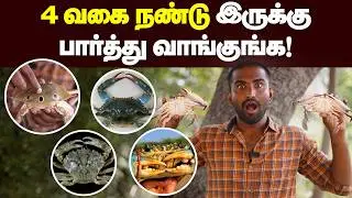 இது தெரியாம  நண்டு சாப்பிடாதீங்க  😱😱 | கெட்டுப்போன நண்டை கண்டுபிடிக்கும் எளிய வழிகள் 🔥🔥
