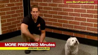 Pet Emergency Survival Kits & Safety Supplies For Dogs, Cats, & Animals