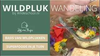 Wildpluk wandeling met Wildeschool in Wapenveld
