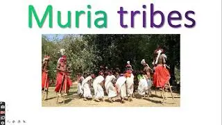 muria tribes