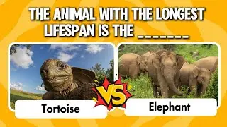 Guess 20 unique animal abilities - IMPOSSIBLE Level | Guess The Animal Challenge