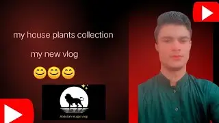My House Plants Collection 🌿 | Indoor Plants Tour | Home Garden Abdullah mughal vlog