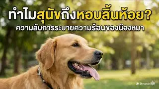 Why do dogs pant with their tongues hanging out?