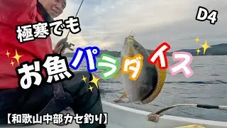 D4【さかむら筏であれこれ狙ってみた🤣💕】in和歌山中部