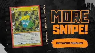 MetaZoo: Lots Of SNIPE In The Mail...