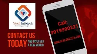 Website Development Company In Lucknow | Vexil Infotech