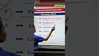 CATALASE POSITIVE ORGANISM || TRICK #shorts