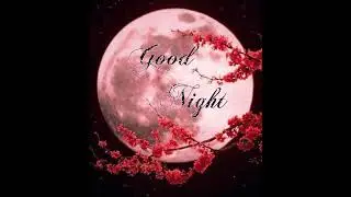 #short Good night status gif video