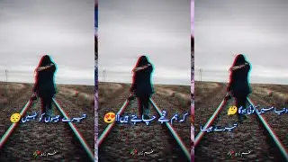 How to make Poetry Status Inshot |Urdu Poetry Status Editing