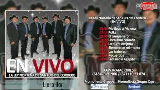 La ley norteña de San Luis del Cordero - EN VIVO