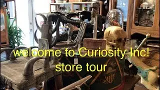 Welcome to Curiosity Incorporated! our own store tour :)