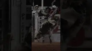 Хадсон Болтон с 88,7 очками в Glory Days на турнире Battle Of The Bulls Bull 2025

&zwnj;#езданабыках ...