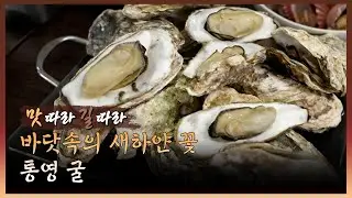 [맛 따라, 길 따라] 굴 I 굿모닝투데이