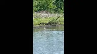 Pat Dawson Billings Nature Area Lawrence Kansas