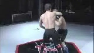 Clip of my new breed fighters fight