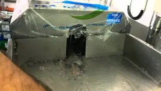 HIGH SPEED FISH CLEANING MACHINE  .  তেলাপিয়া মাছের আঁশ ছাড়ানো মেশিন