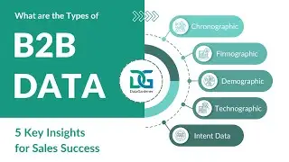 Types of B2B Data: 5 Key Insights for Sales Success