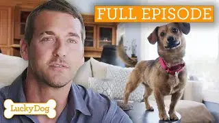 Rescued Street Puppy Is Hazard In Home! | Lucky Dog | Full Episode S4 Ep2