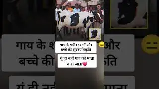 #motivational#motivation#shorts#ias#ips#pcs#short#gk#upsc#video#status#bank#facts