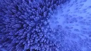 Nature Dynamics