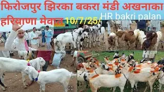 Firozpur Jhirka Bakra Mandi Haryana Mewat10/7/2025/ channel ko Jarur subscribe Karen