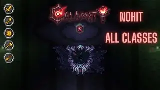 Terraria Calamity: Ceaseless Void Master Death Mode No Hit All Classes