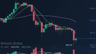 没有人能永远在顶点套现㈩ No one can cash out at the top forever.