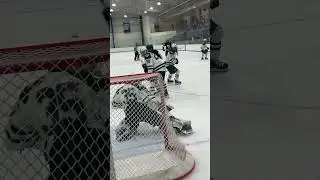 Insane reaction time 🏒💯 | Delbarton vs. Hills School | Ryan White Hockey #hockey #shorts #goalie