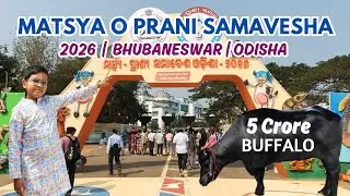 Matsya O Prani Samavesha 2026 | Matsya O Prani Samavesha Bhubaneswar | 5 Crore Buffalo | Animal Fair
