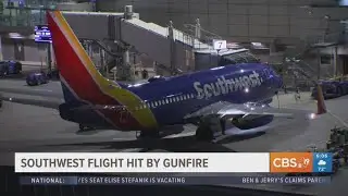 Southwest Airlines flight shot at while trying to take off from Dallas-Love Field