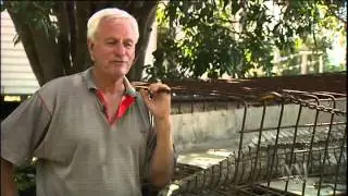 World-first croc breeding program begins in Qld