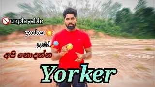 How to bowl perfect Yorker💯💥 හරිම තැනට යෝකර් එක වට්ටමු🥎🏏 #cricket #yorker #coaching