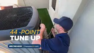 Beat the Heat with a Champion Wash & Check!