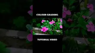 Colour Grading Tutorial Video🌺💐|Tamil|#capcut #trending #editor #subscribemychannel #like #comment