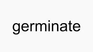 How to pronounce germinate
