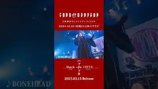 「BONEHEAD」コドモドラゴン 14周年 ONEMAN TOUR「ハッチッタ Hatch&rarr;CITTA' -EVE 2-」TOUR FIN