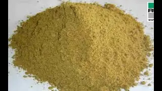 Vibrating sifter machine for fish feed