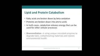 Integrated&nbsp;Metabolic&nbsp;pathways
