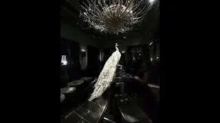 YOUNG SOORMA - MAJESTIC [ EXPERIMENTAL MUSIC ]