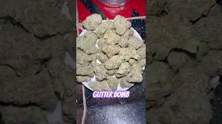 Glitter Bomb | THCAKING  #weedcommunity #420community #cannabisdaily #stayhigh