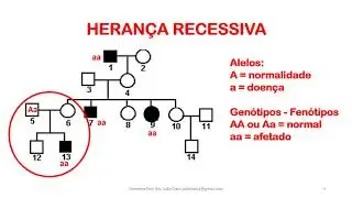 Genética #1 - Herança Autossômica e heredogramas