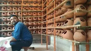 Cleaning a 100 Budgie Colony Floor | Deep Cage Cleaning & Bird Care Routine