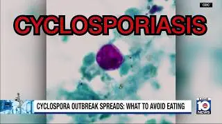 What to avoid eating during the Cyclospora outbreak